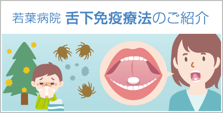 若葉病院 舌下免疫療法の紹介